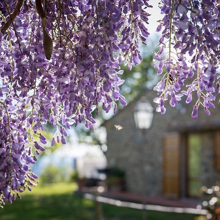 Penzion Le Cetinelle Greve in Chianti Exteriér fotografie