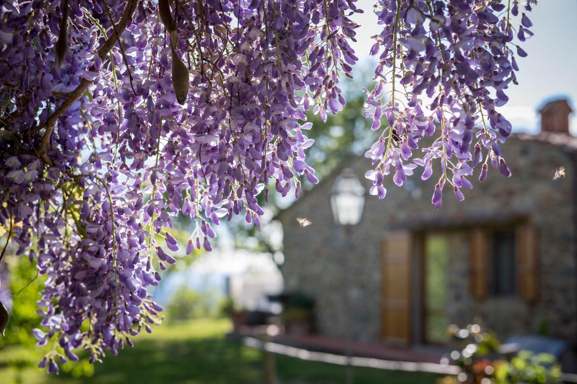 Penzion Le Cetinelle Greve in Chianti Exteriér fotografie