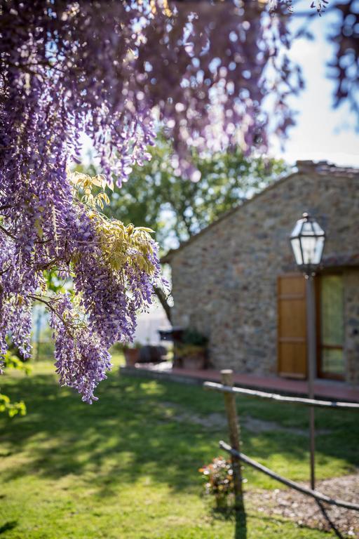 Penzion Le Cetinelle Greve in Chianti Exteriér fotografie